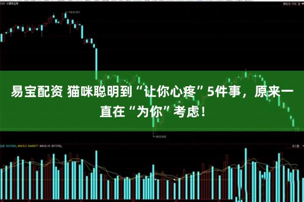 易宝配资 猫咪聪明到“让你心疼”5件事，原来一直在“为你”考虑！