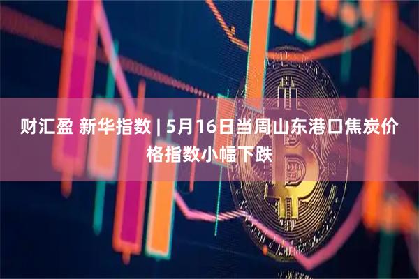 财汇盈 新华指数 | 5月16日当周山东港口焦炭价格指数小幅下跌