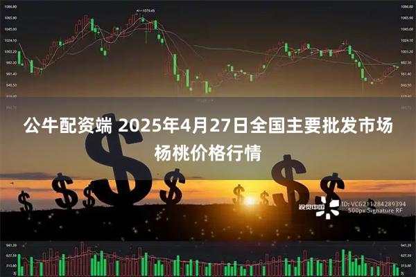 公牛配资端 2025年4月27日全国主要批发市场杨桃价格行情