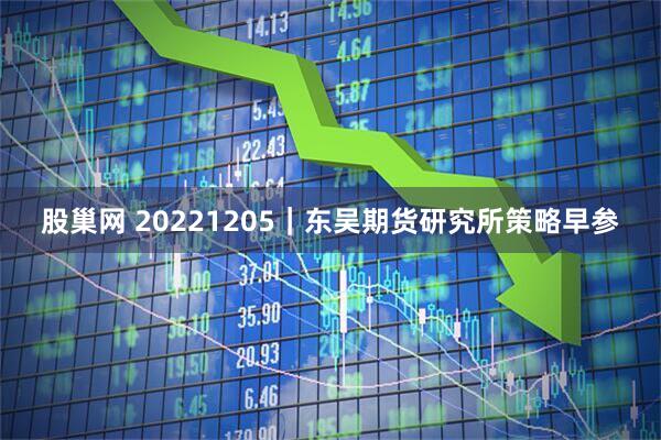 股巢网 20221205｜东吴期货研究所策略早参