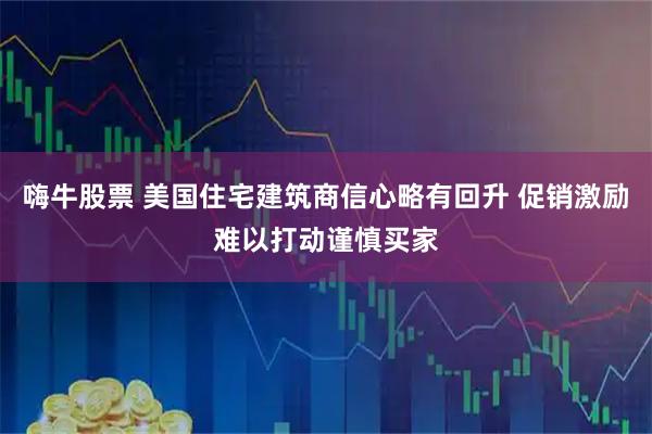 嗨牛股票 美国住宅建筑商信心略有回升 促销激励难以打动谨慎买家